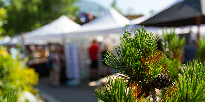 Vestas will host community drop-in sessions