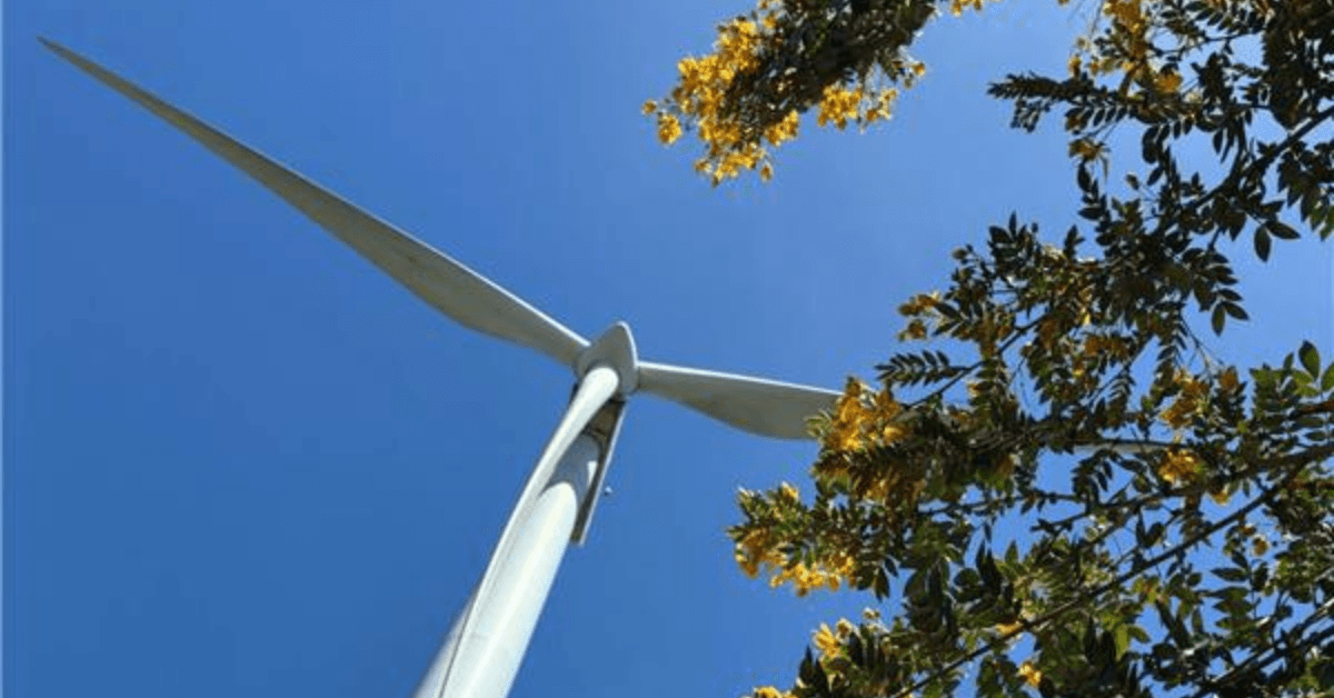 NSW Government endorses Piambong Wind Farm via Investment Delivery Authority